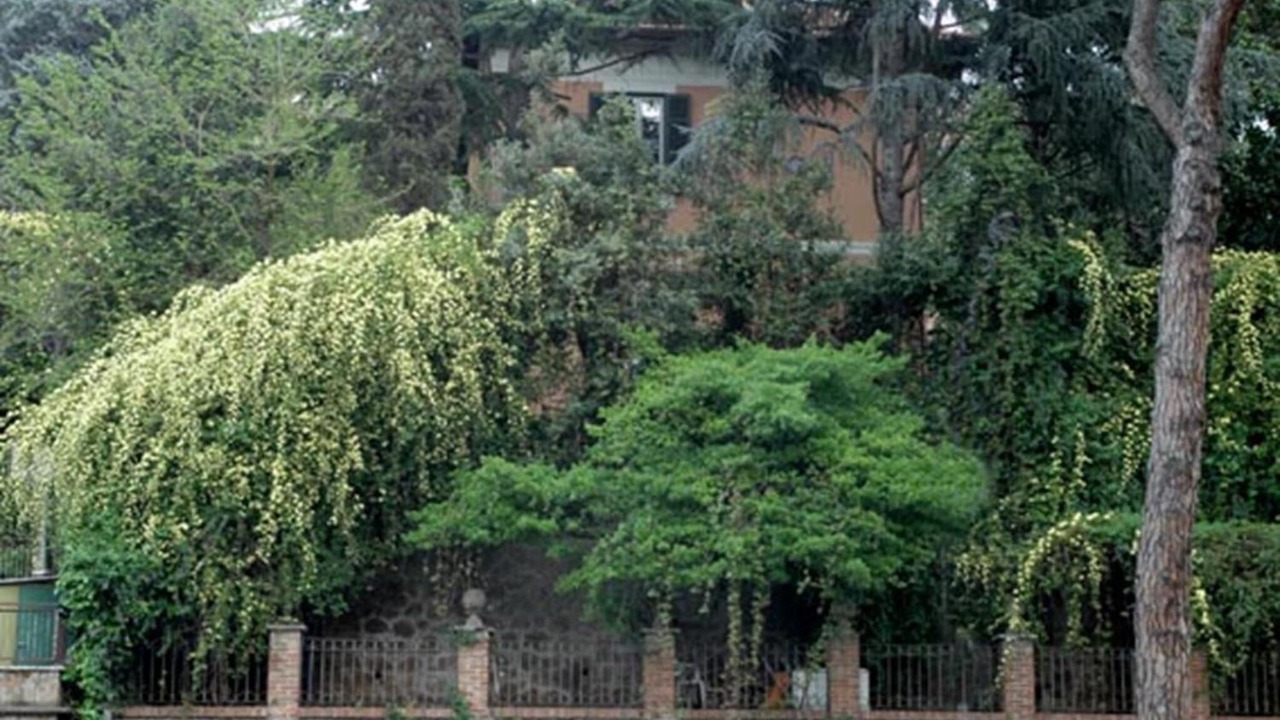 Photo of Outdoor in Monte Sacro