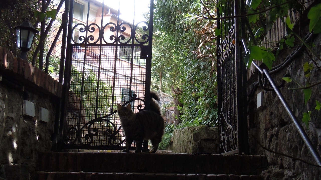 Photo of Outdoor in Monte Sacro