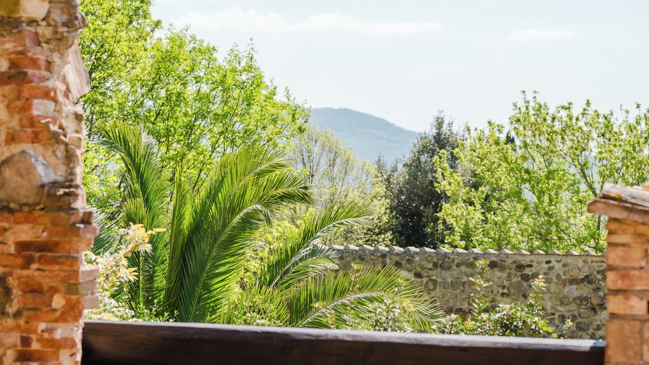Photo of Others in Scansano
