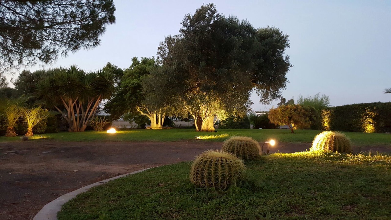 Photo of Outdoor in Leverano