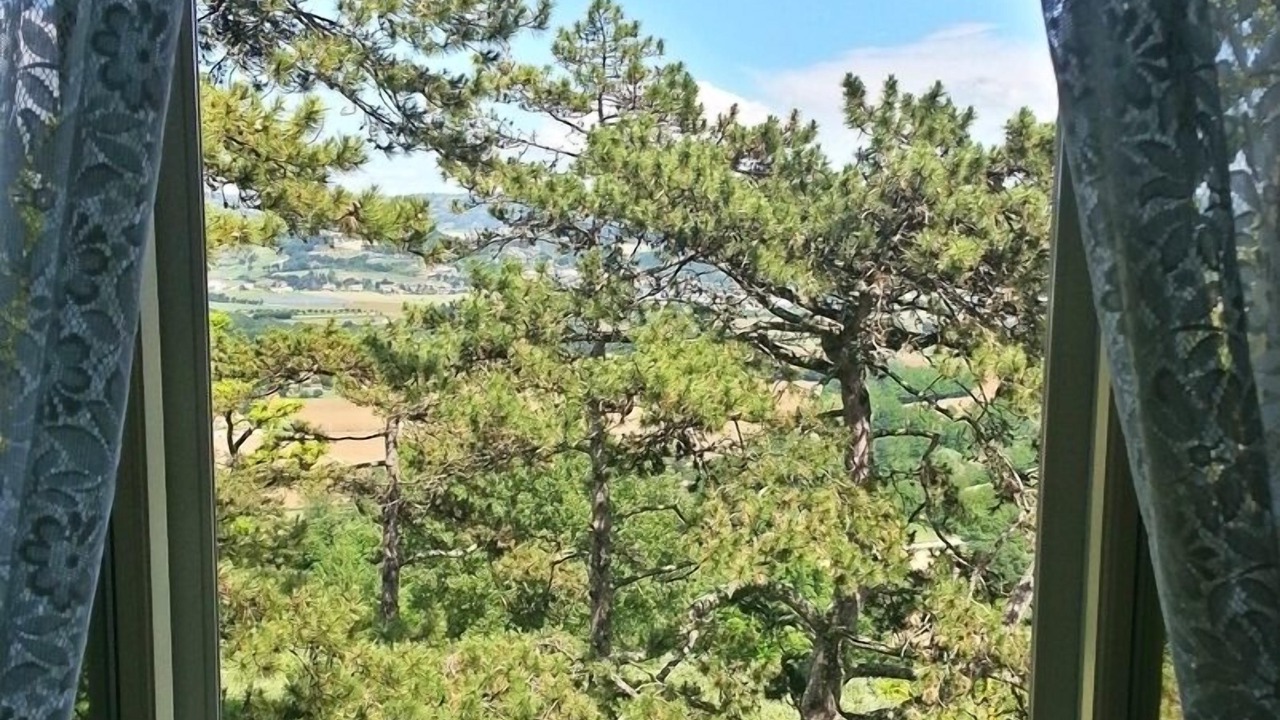Photo of Others in Montelaguardia