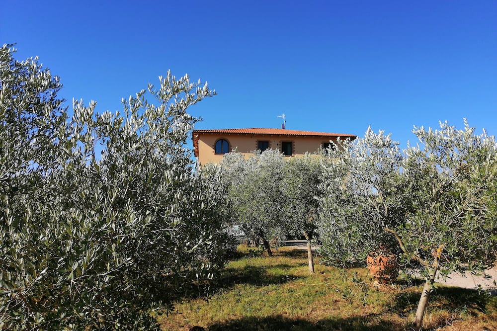 Photo of Outdoor in Montorsaio