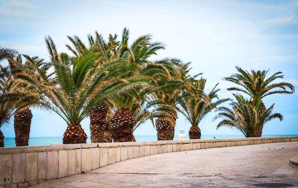 Photo of Outdoor in Trani