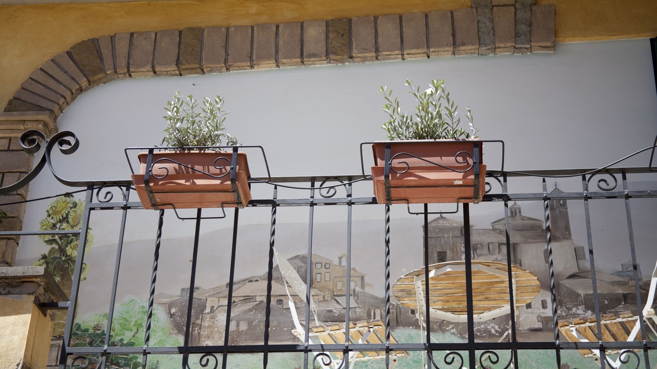 Photo of Outdoor in Vetralla