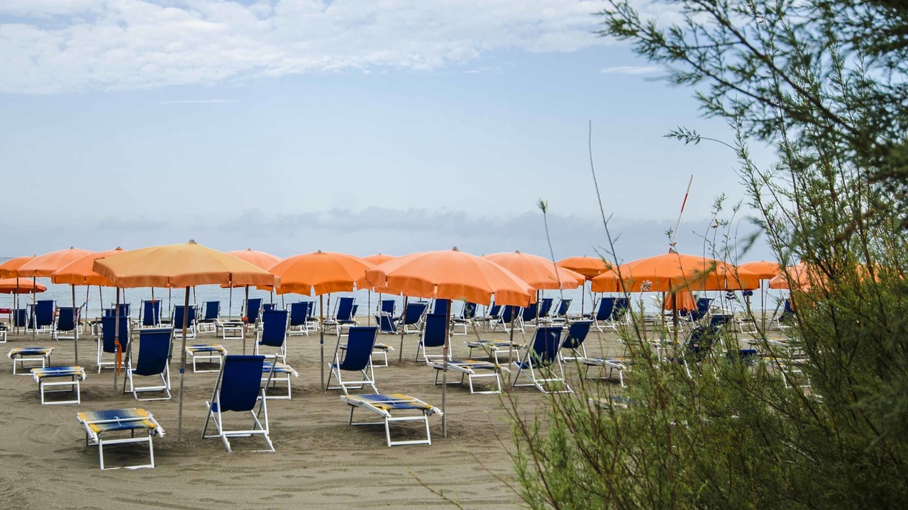 Photo of Others in Lido di Tarquinia