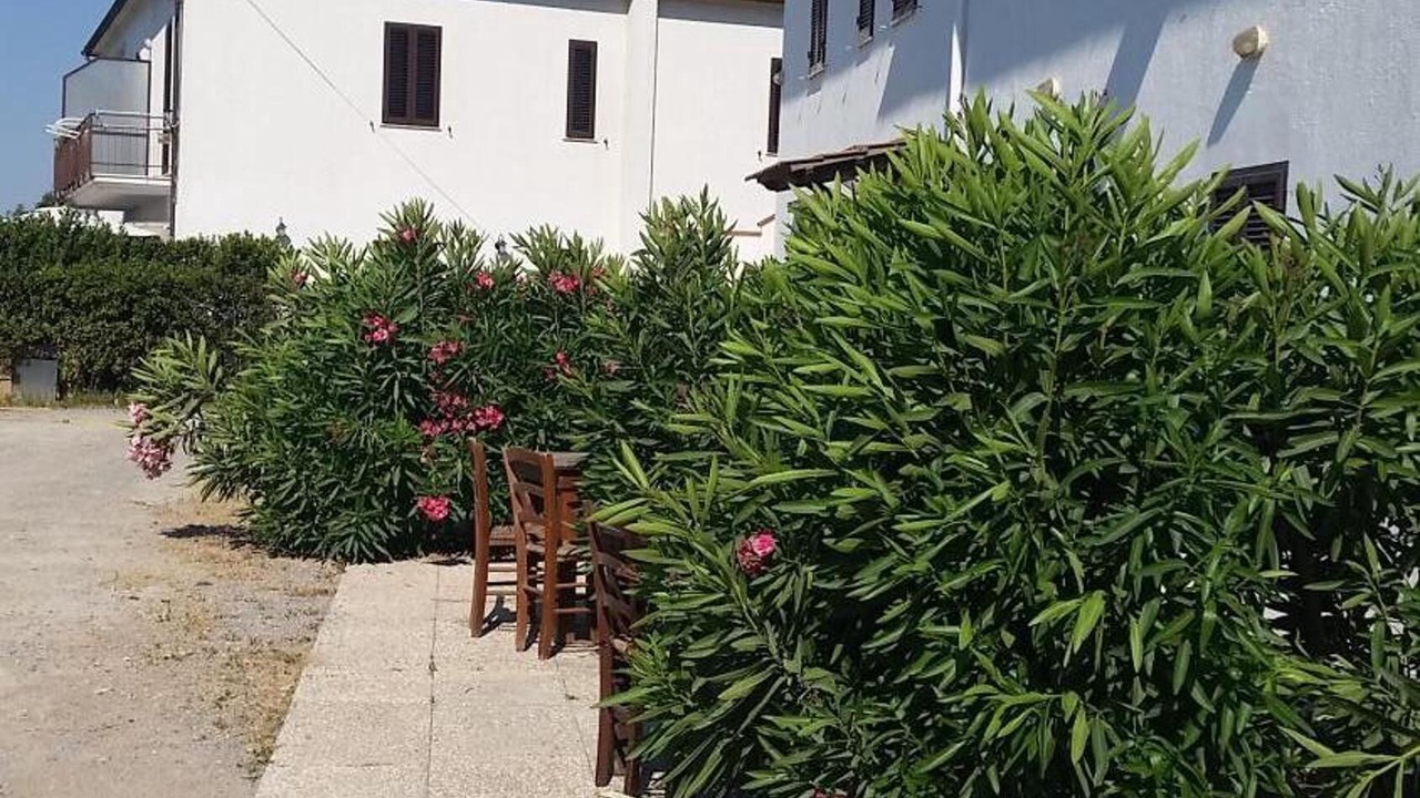 Photo of Outdoor in Albinia