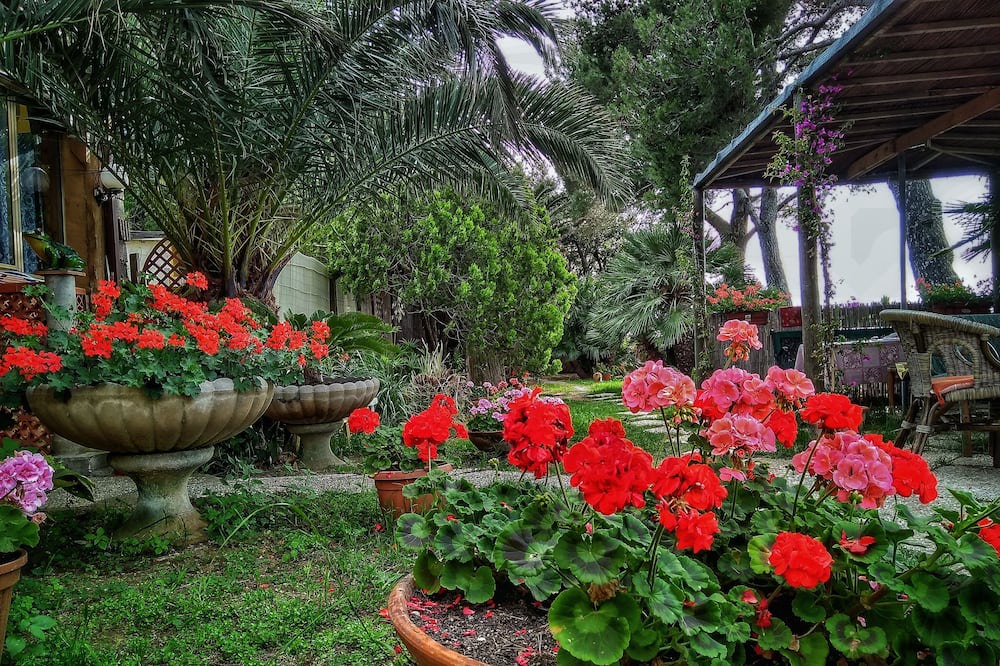 Photo of Outdoor in Cala Piccola