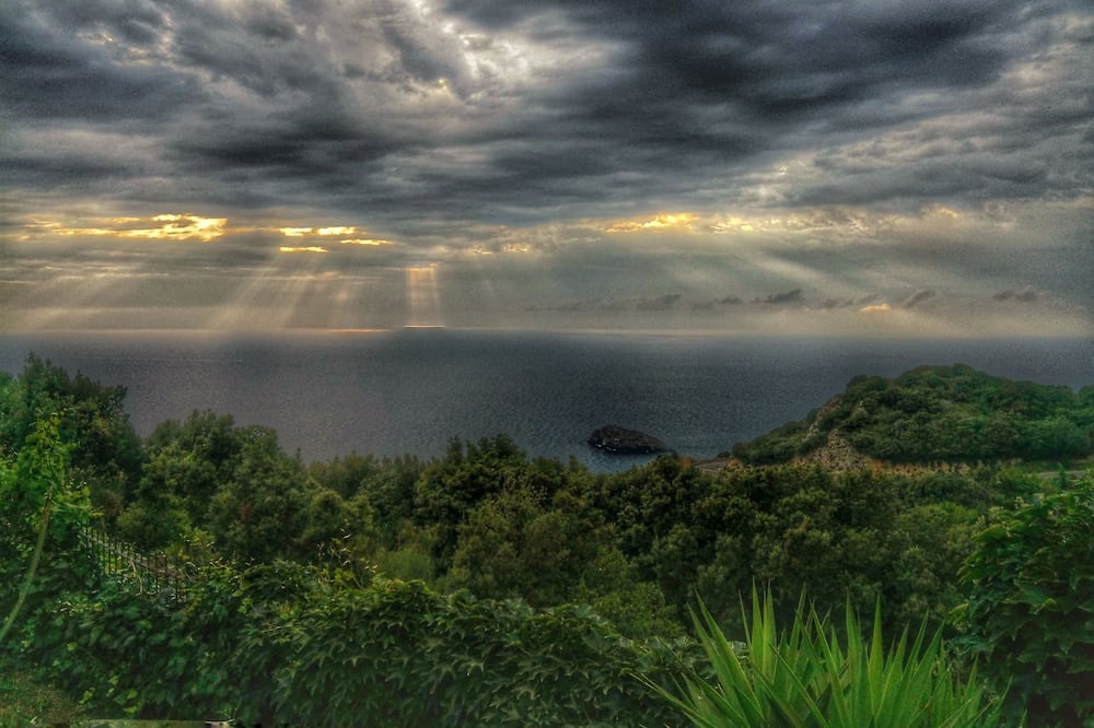 Photo of Others in Cala Piccola