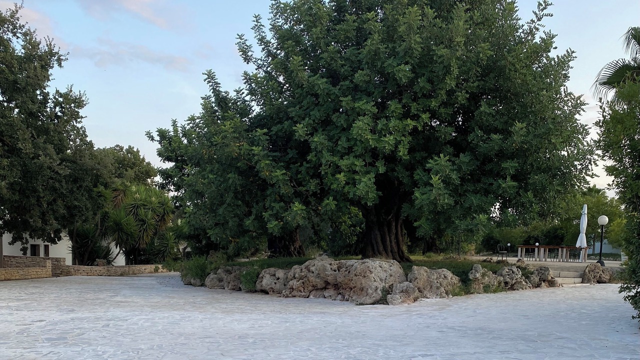 Photo of Outdoor in Binetto