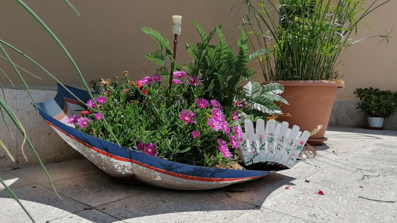 Photo of Patio Balcony in Altamura