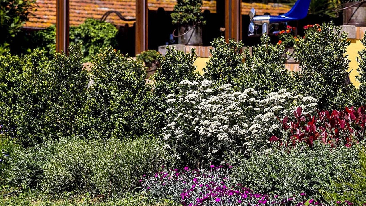 Photo of Outdoor in Zona III Marcigliana