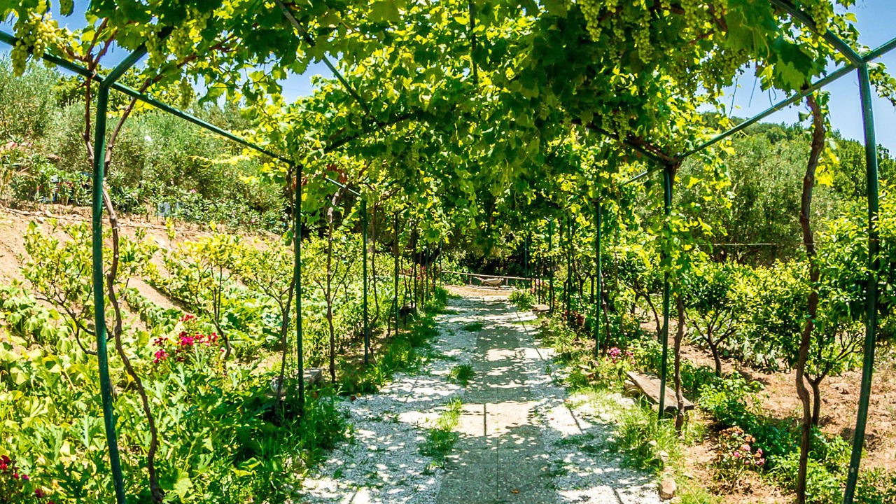 Photo of Outdoor in Caprioli