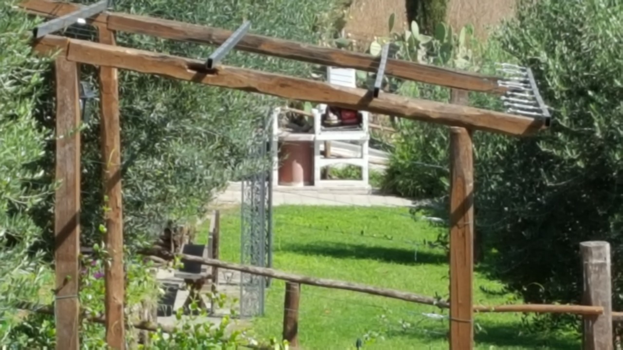 Photo of Outdoor in Tragliatella