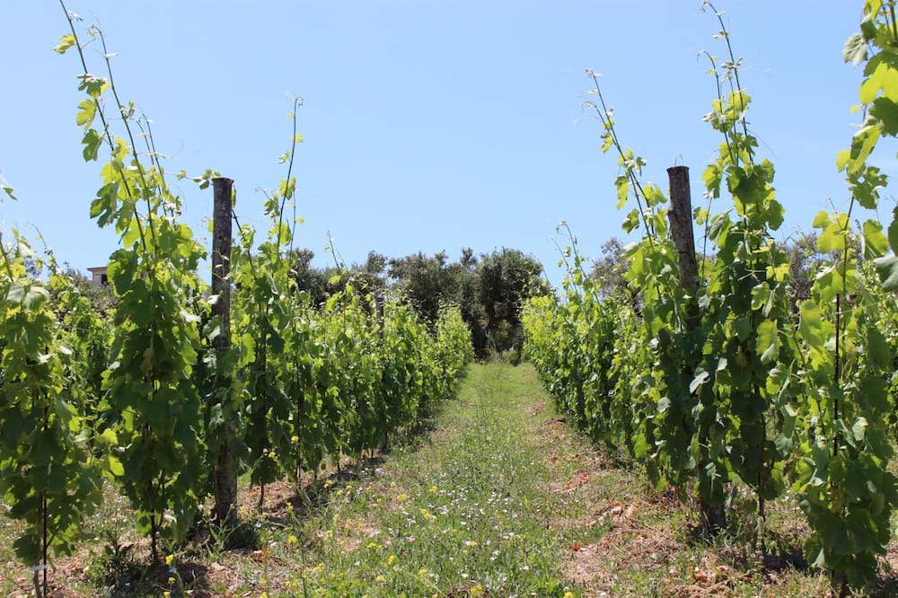 Photo of Outdoor in Agropoli