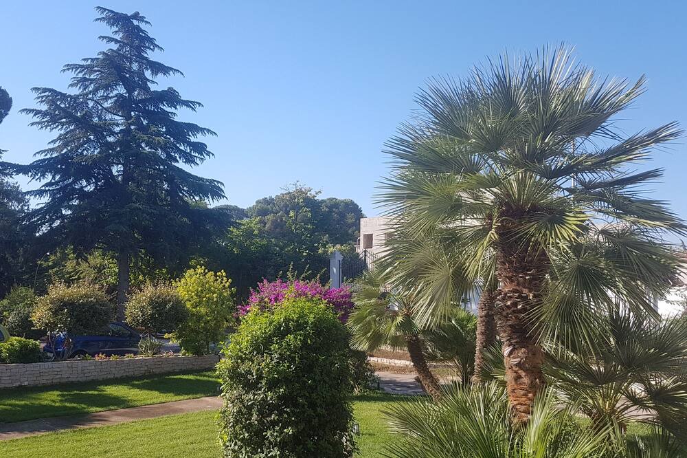 Photo of Outdoor in Trani