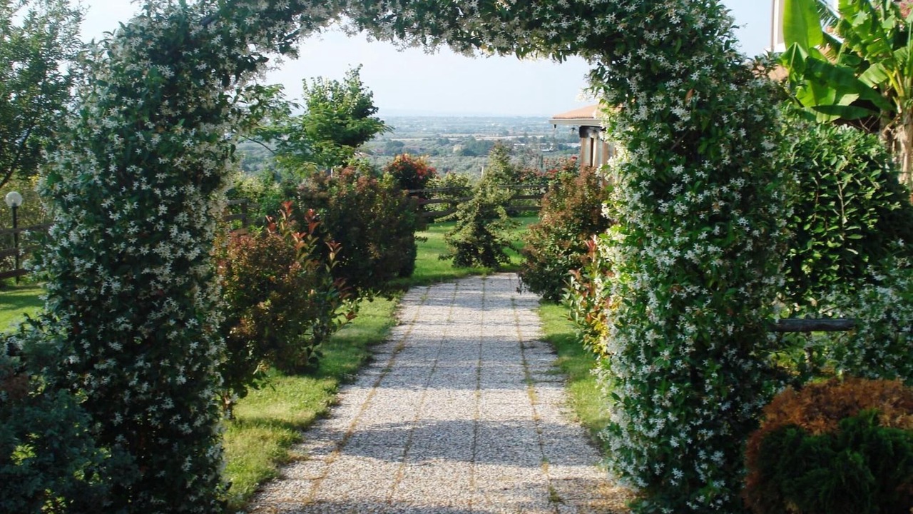 Photo of Outdoor in Viterbo