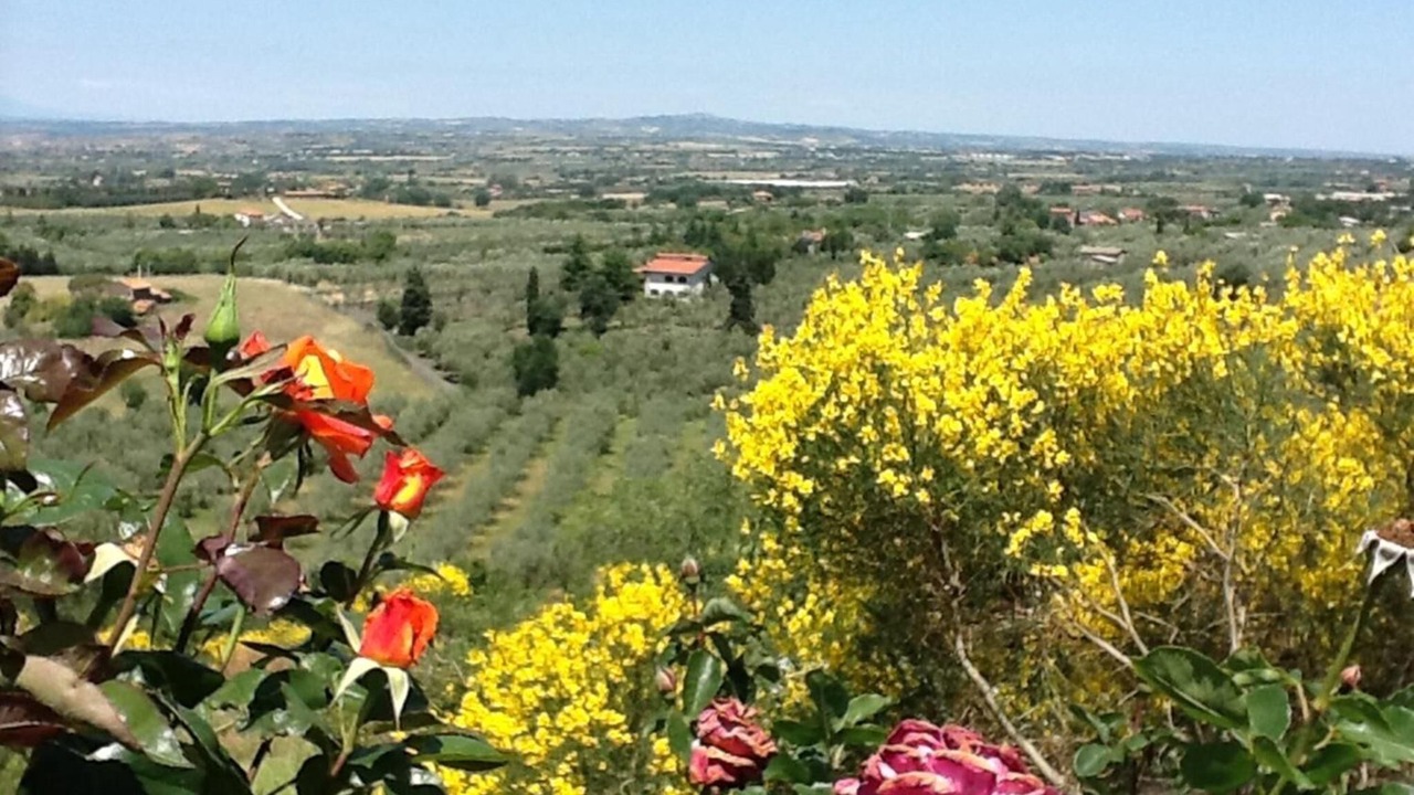 Photo of Outdoor in Viterbo