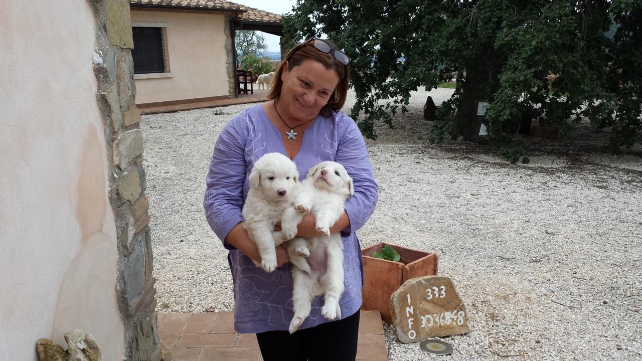 Photo of Outdoor in Manciano