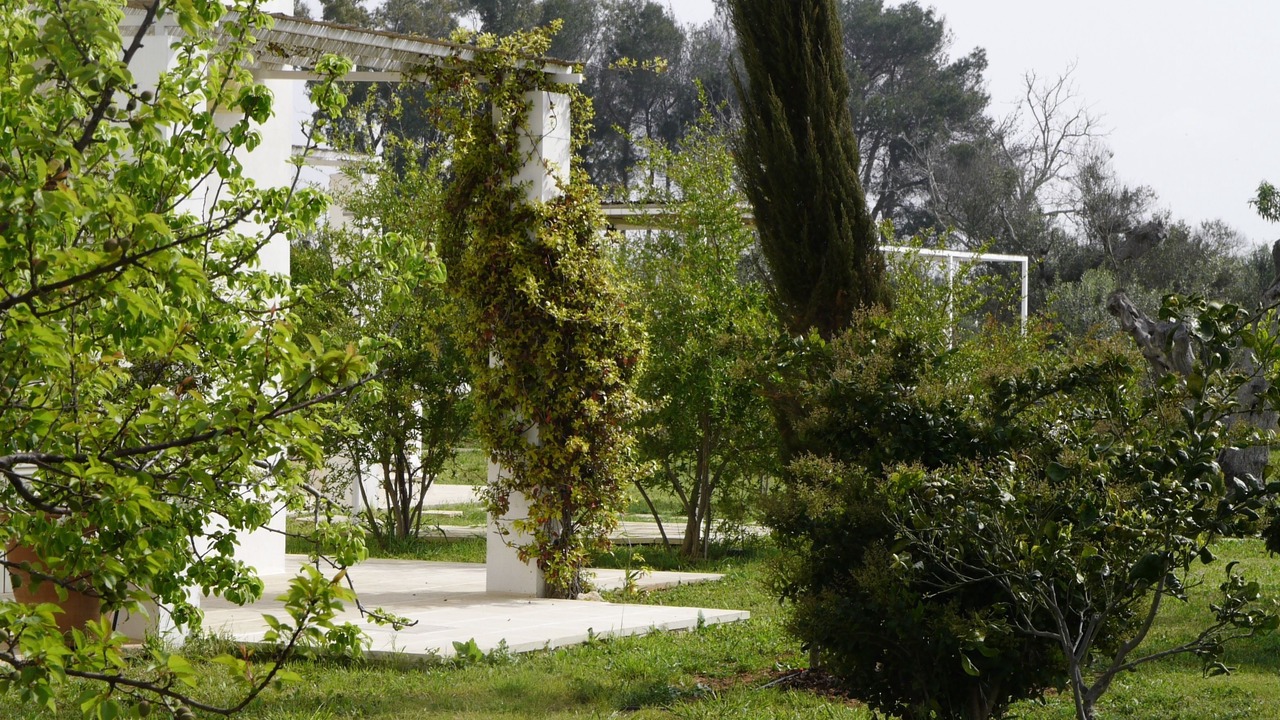 Photo of Outdoor in Il Monte