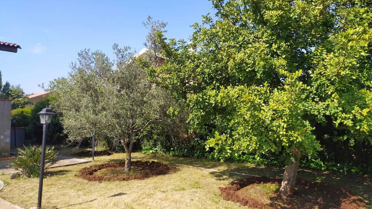 Photo of Outdoor in Avola