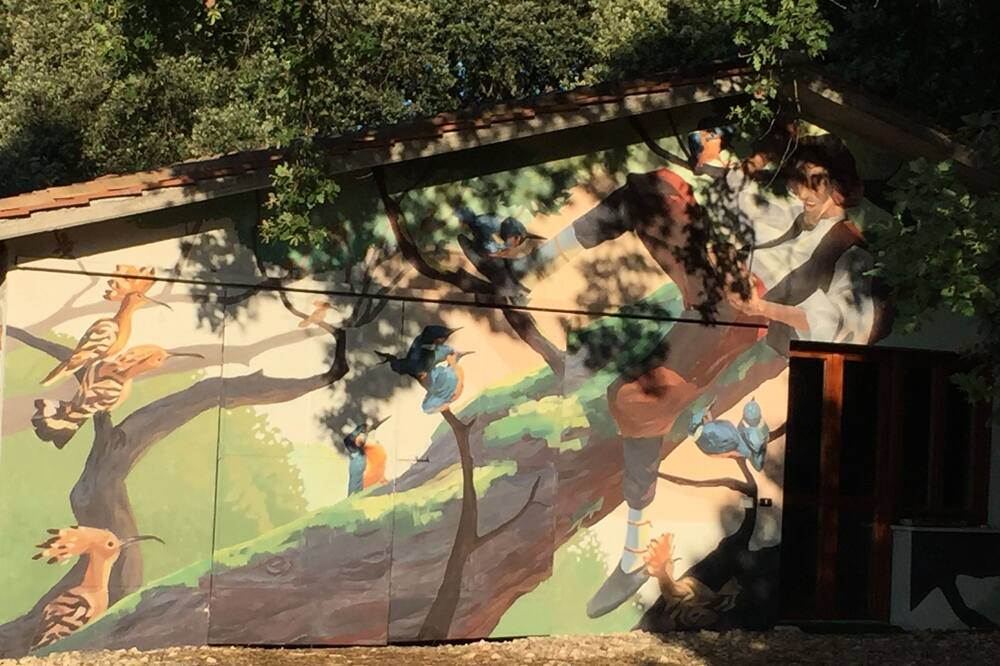Photo of Outdoor in Amelia
