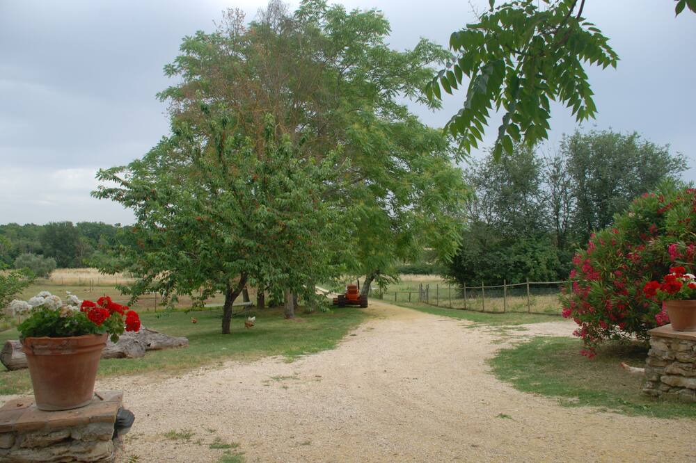 Photo of Outdoor in Amelia