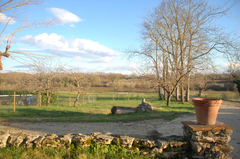 Photo of Outdoor in Amelia