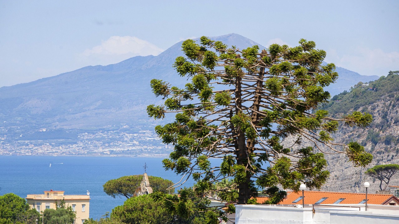 Photo of Others in Sant'Agnello