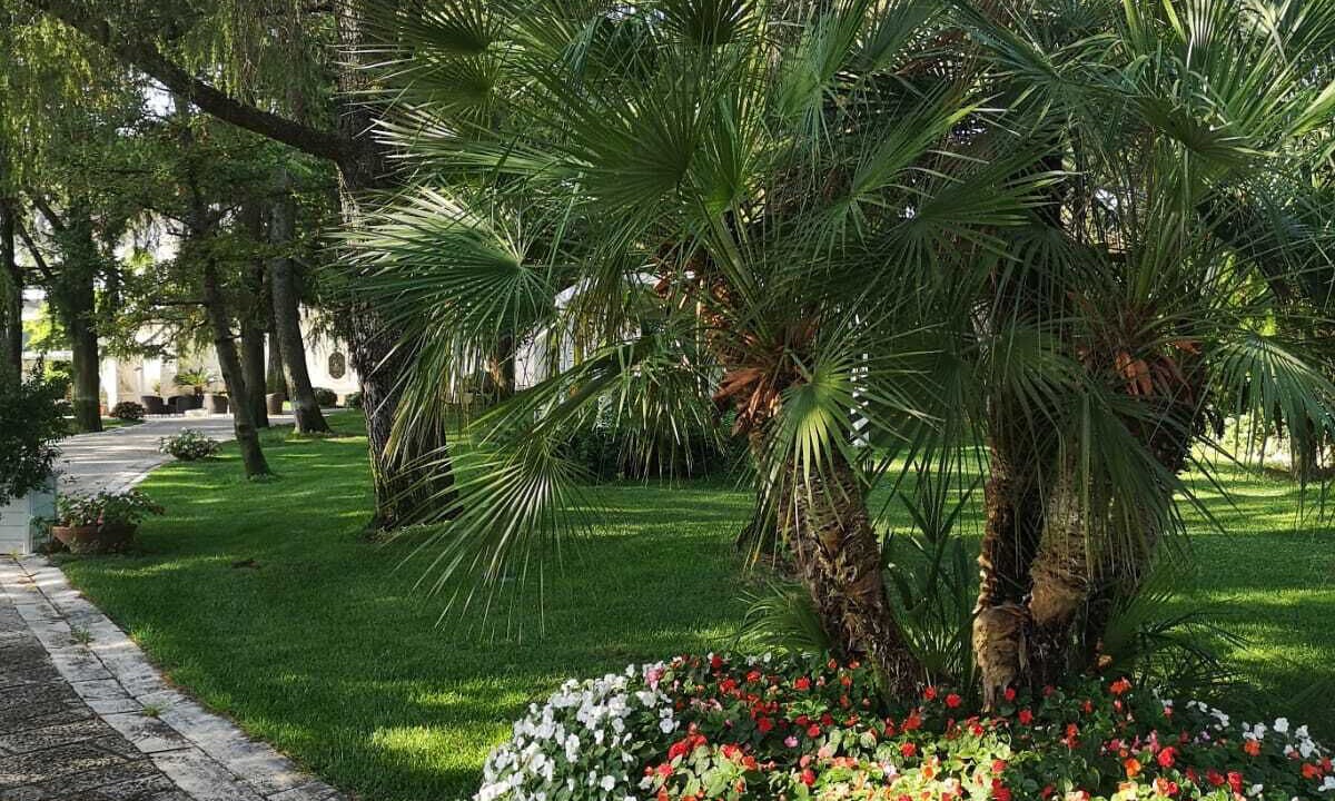 Photo of Outdoor in Palo del Colle