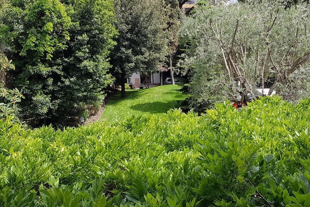 Photo of Outdoor in Ripa