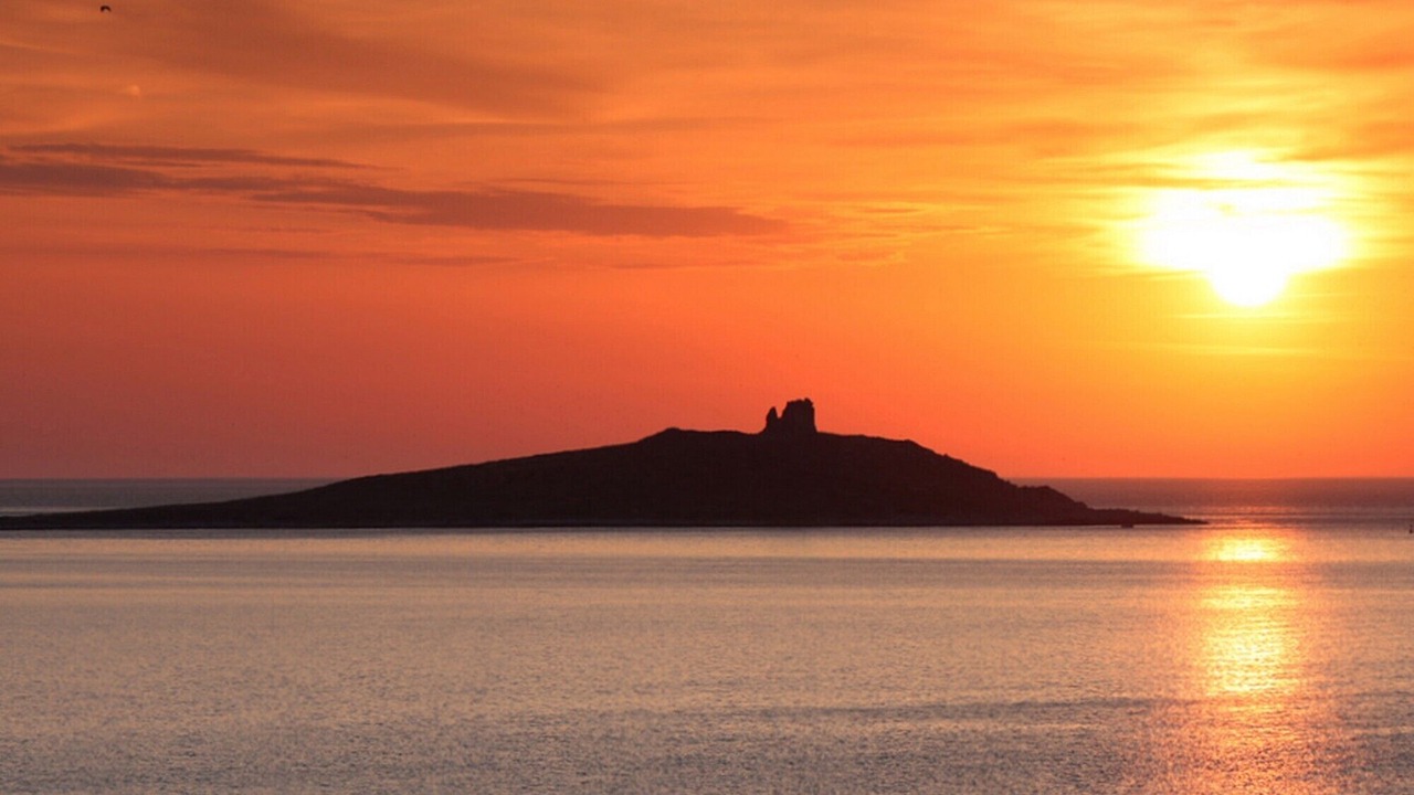 Photo of Others in Isola delle Femmine