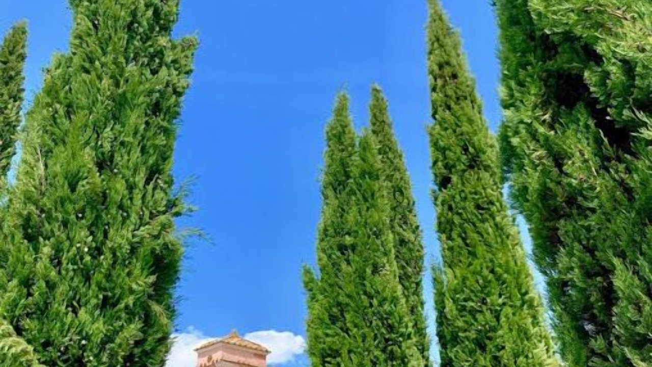 Photo of Outdoor in Fabrica di Roma