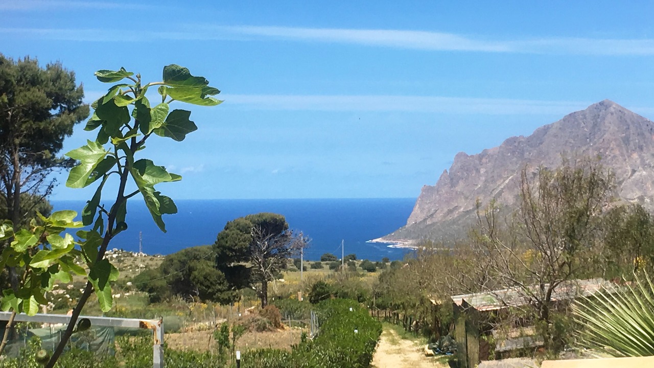 Photo of Others in Erice