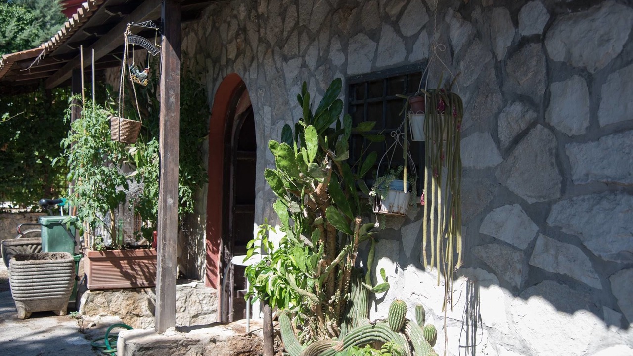 Photo of Outdoor in Zona XI San Vittorino