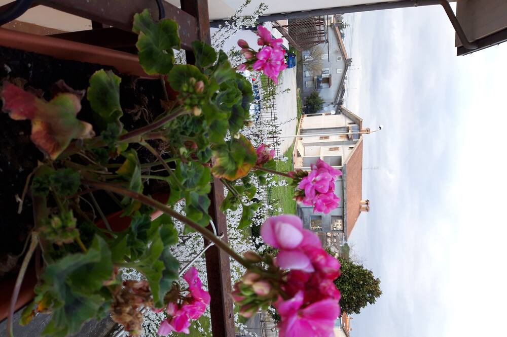 Photo of Patio Balcony in Vasanello