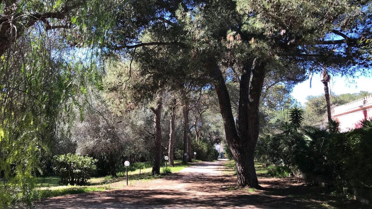 Photo of Outdoor in Santa Caterina