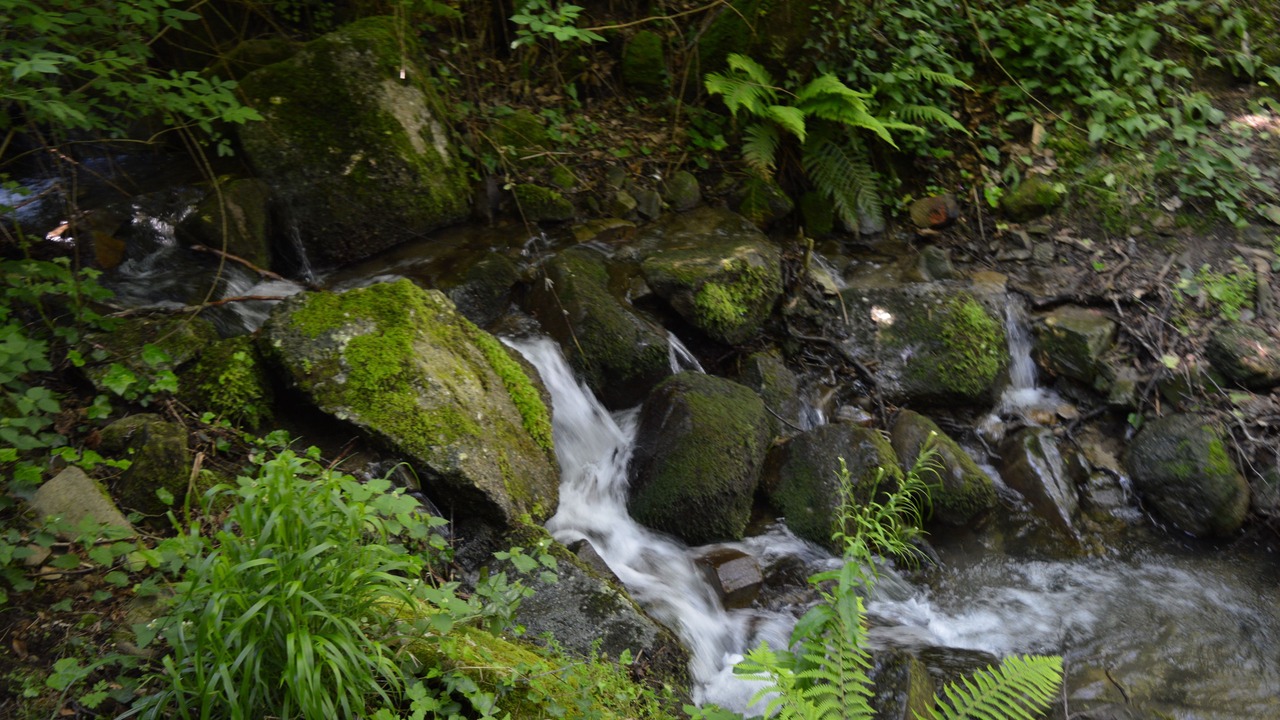 Photo of Outdoor in San Mauro Cilento