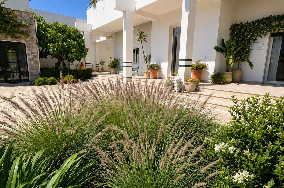 Photo of Outdoor in Avetrana