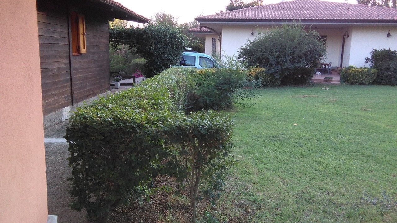 Photo of Outdoor in Ardea