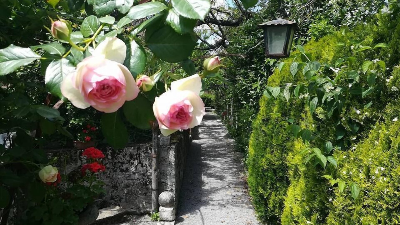 Photo of Outdoor in Chiusi
