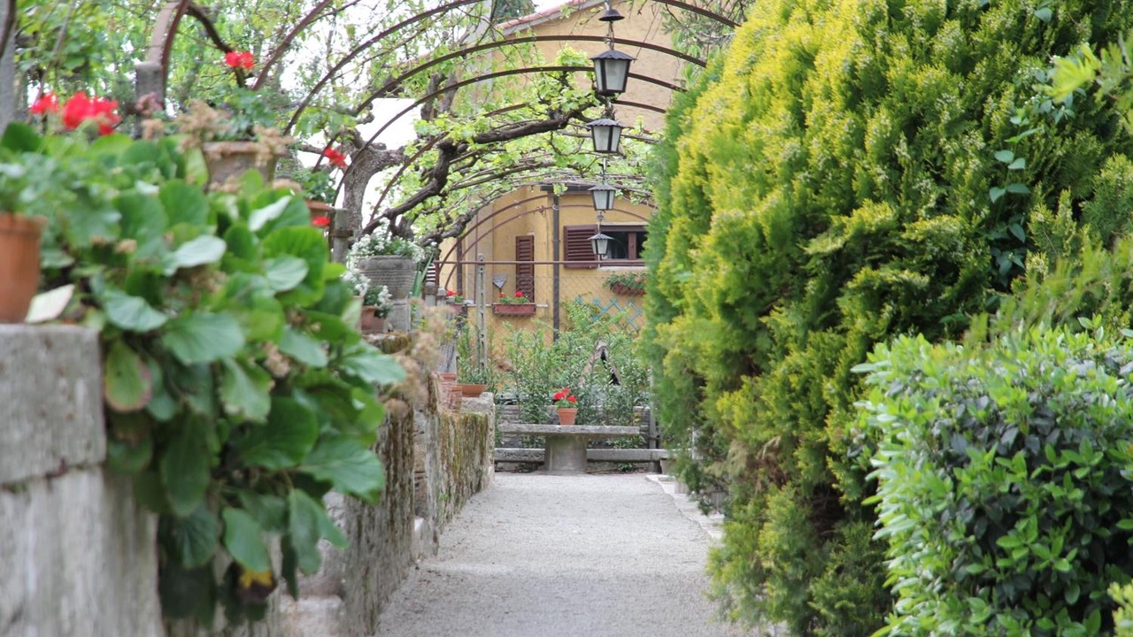 Photo of Outdoor in Chiusi