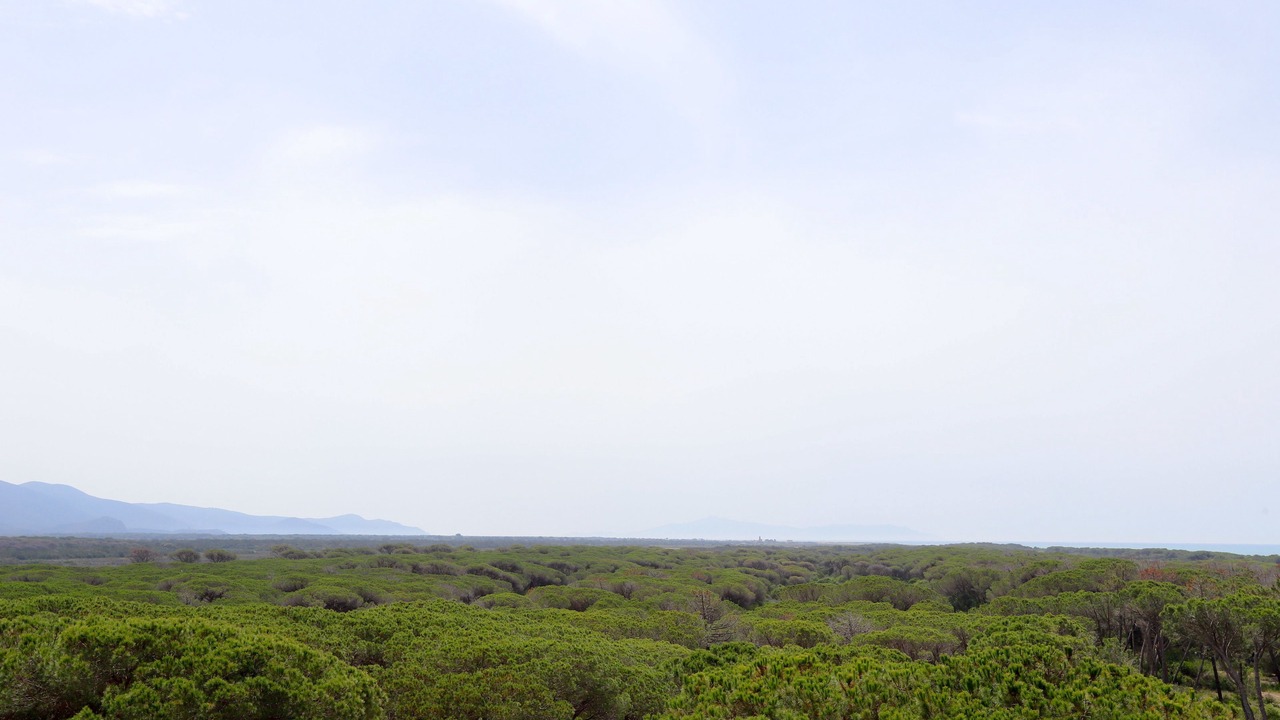Photo of Outdoor in Principina a Mare