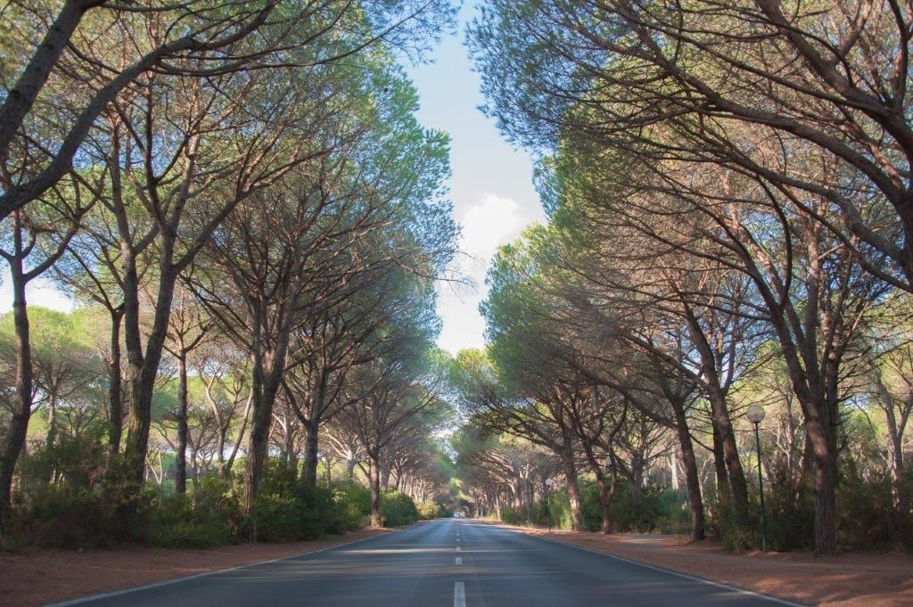 Photo of Outdoor in Principina a Mare