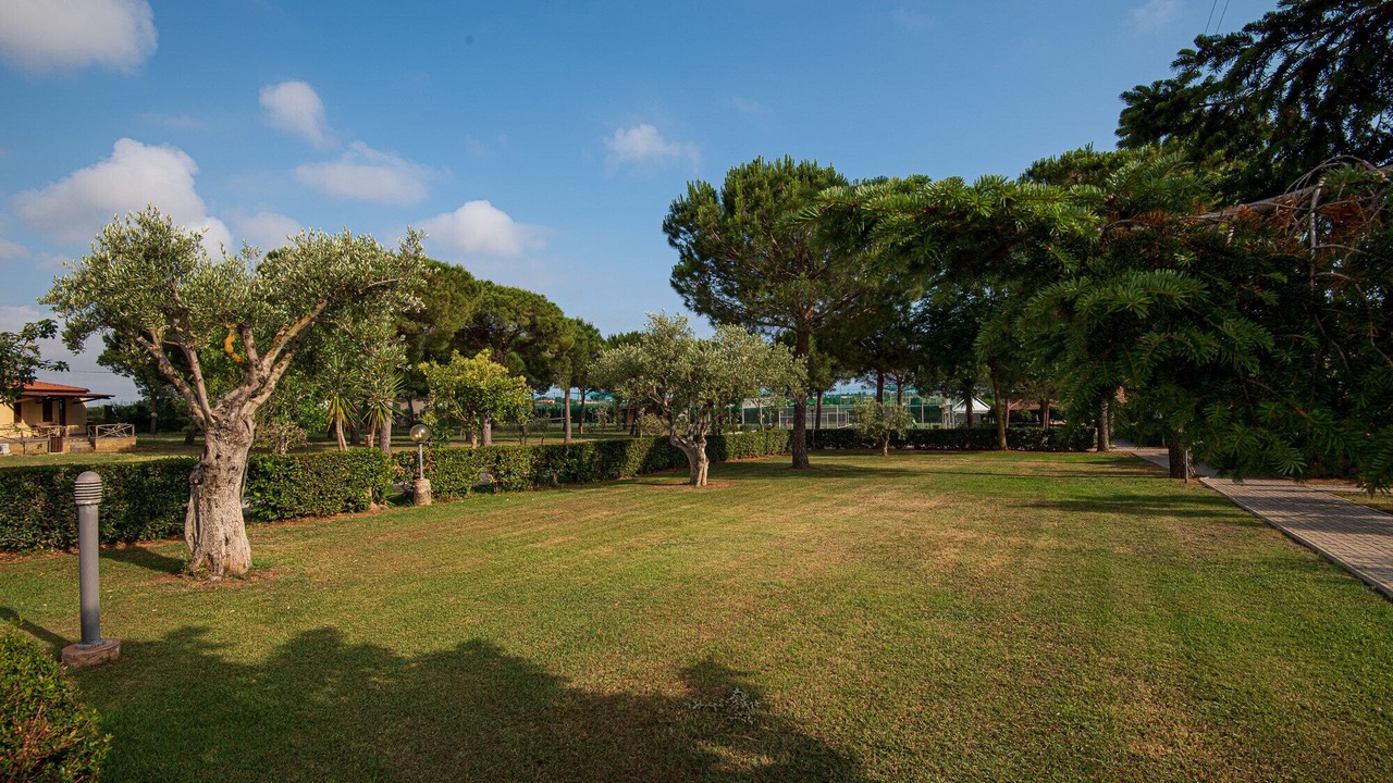Photo of Outdoor in Capalbio