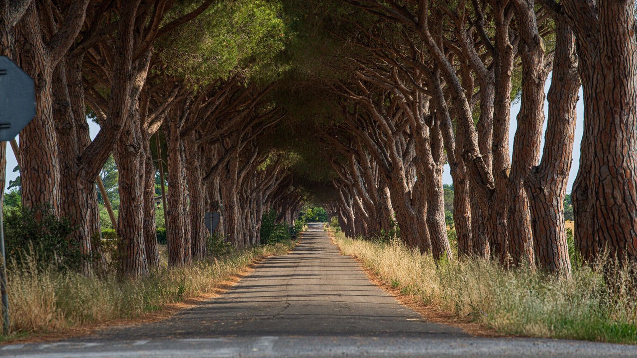 Photo of Outdoor in Capalbio