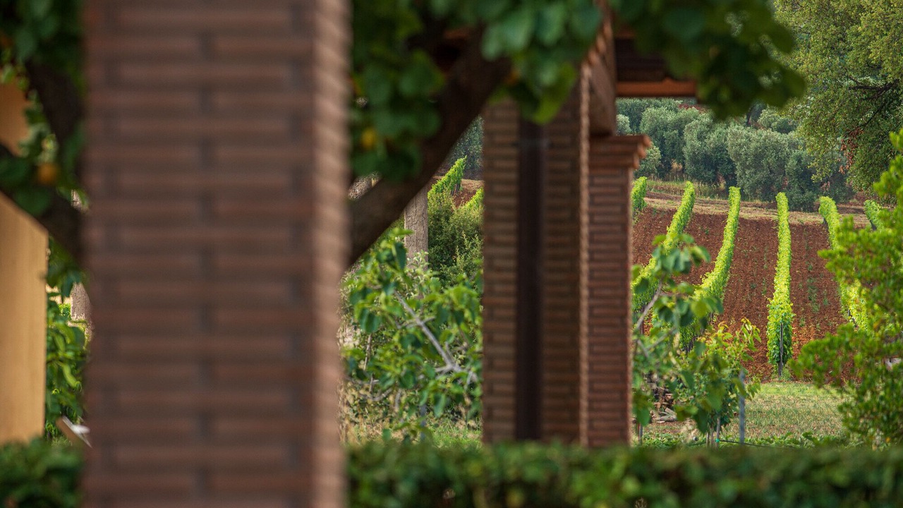 Photo of Outdoor in Capalbio