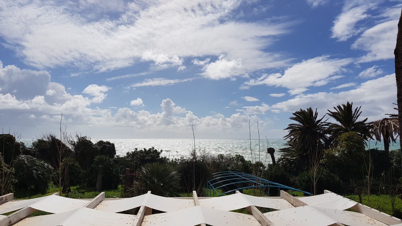 Photo of Others in Santa Marinella