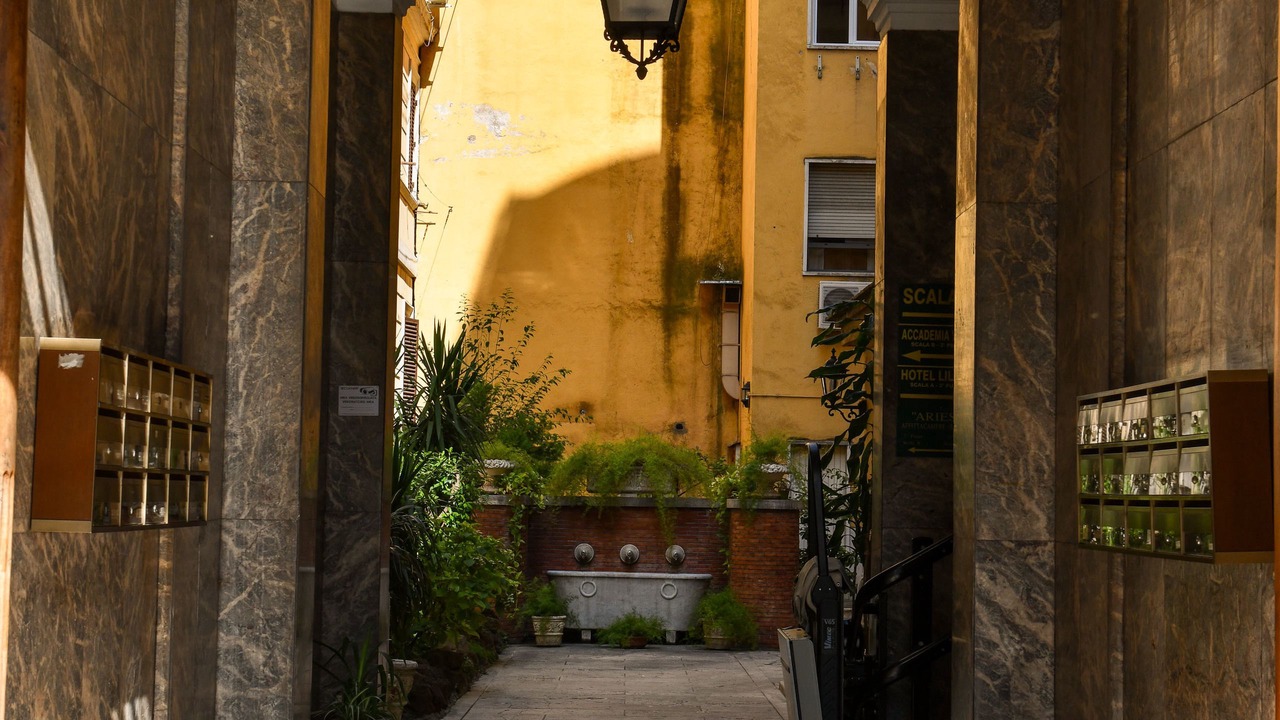 Photo of Outdoor in Sallustiano