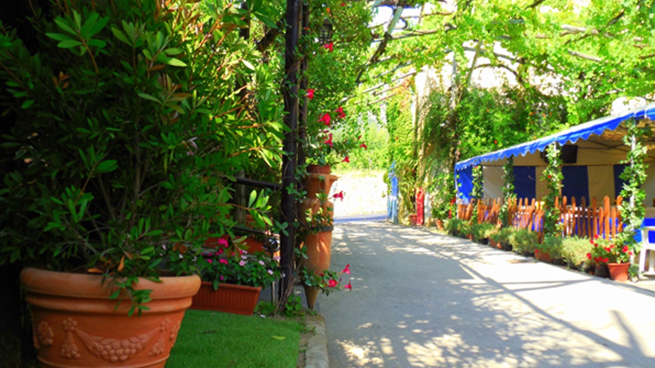 Photo of Outdoor in Piano di Sorrento