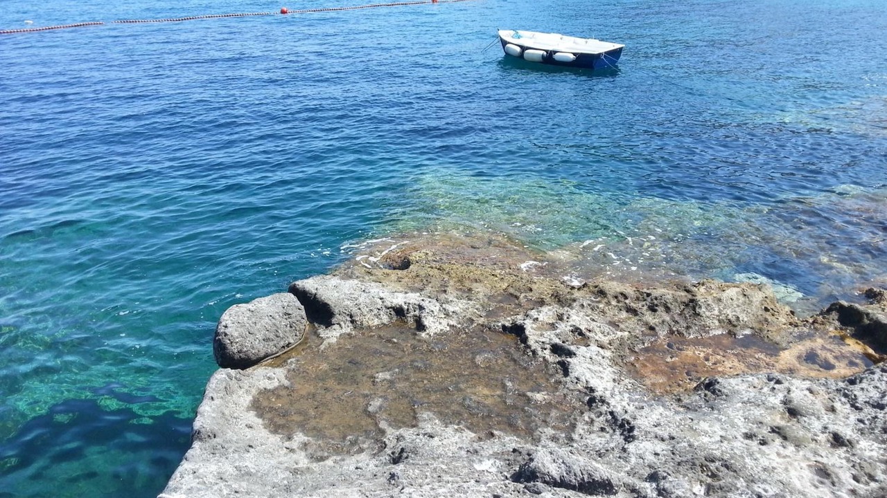 Photo of Others in Le Forna